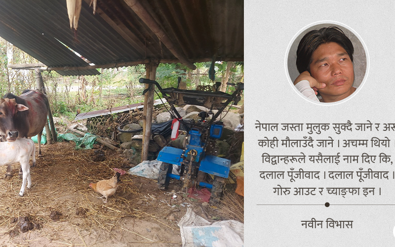 च्याङ्फा–गोरु अर्थशास्त्र